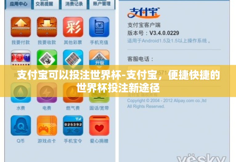 支付宝可以投注世界杯-支付宝，便捷快捷的世界杯投注新途径