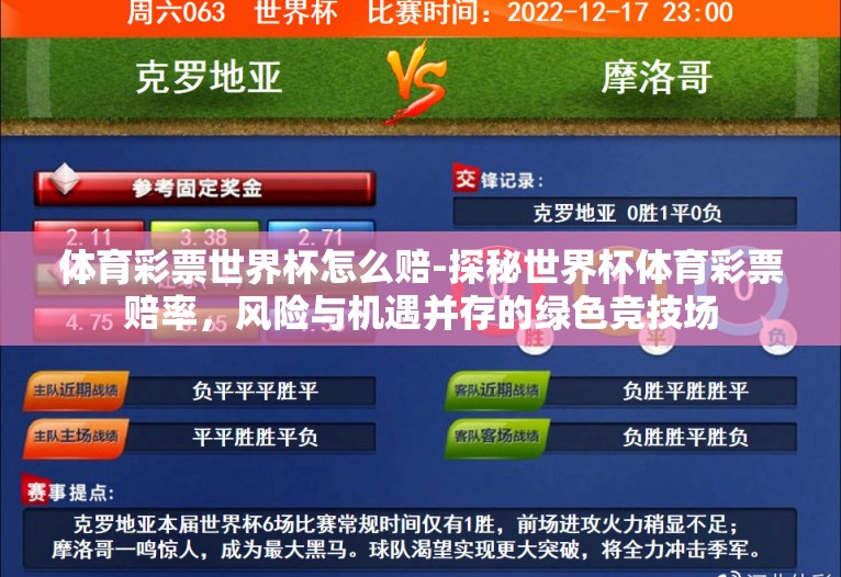 体育彩票世界杯怎么赔-探秘世界杯体育彩票赔率，风险与机遇并存的绿色竞技场