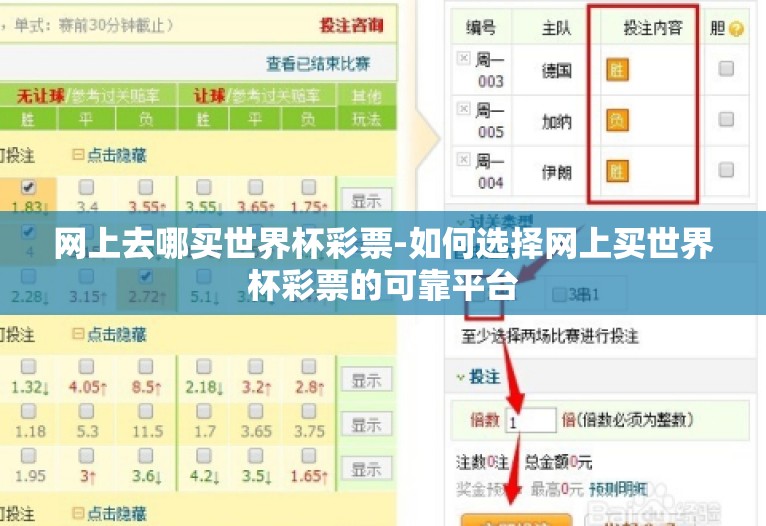 网上去哪买世界杯彩票-如何选择网上买世界杯彩票的可靠平台