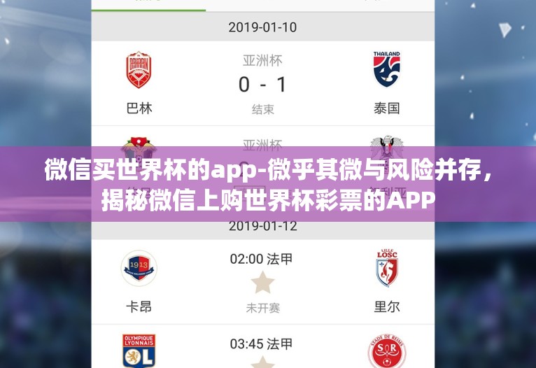 微信买世界杯的app-微乎其微与风险并存，揭秘微信上购世界杯彩票的APP