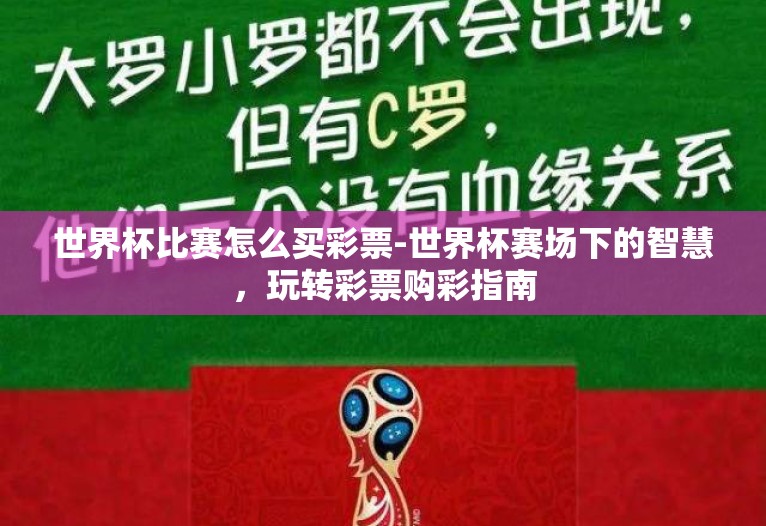 世界杯比赛怎么买彩票-世界杯赛场下的智慧,玩转彩票购彩指南 世界杯比赛怎么买彩票-世界杯赛场下的智慧,玩转彩票购彩指南