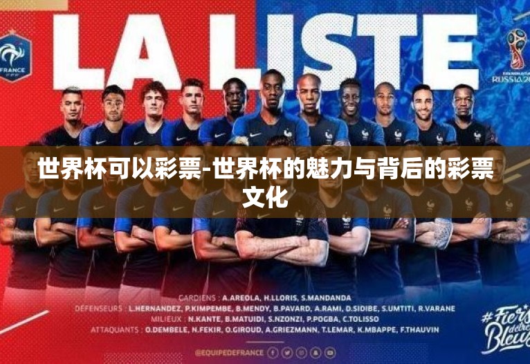 世界杯可以彩票-世界杯的魅力与背后的彩票文化
