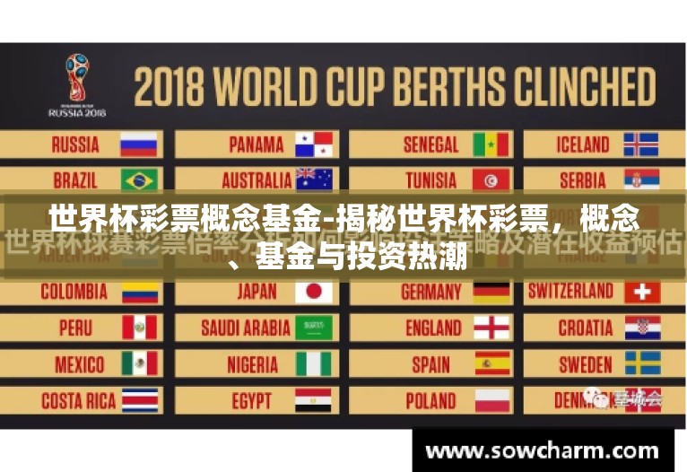 世界杯彩票概念基金-揭秘世界杯彩票，概念、基金与投资热潮