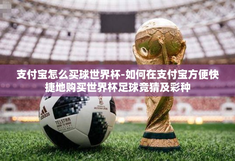 支付宝怎么买球世界杯-如何在支付宝方便快捷地购买世界杯足球竞猜及彩种