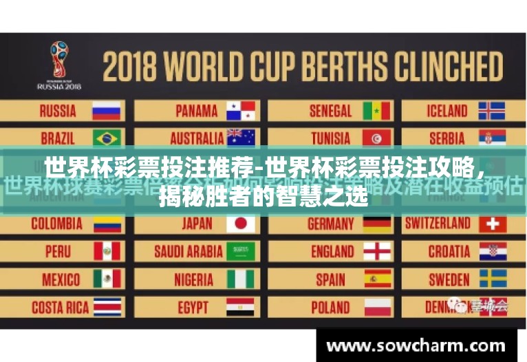 世界杯彩票投注推荐-世界杯彩票投注攻略，揭秘胜者的智慧之选