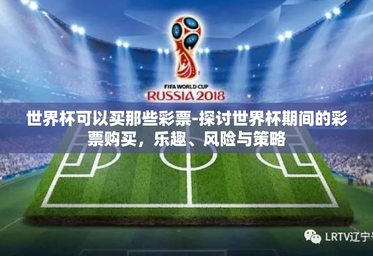 世界杯可以买那些彩票-探讨世界杯期间的彩票购买,乐趣、风险与策略 世界杯可以买那些彩票-探讨世界杯期间的彩票购买,乐趣、风险与策略