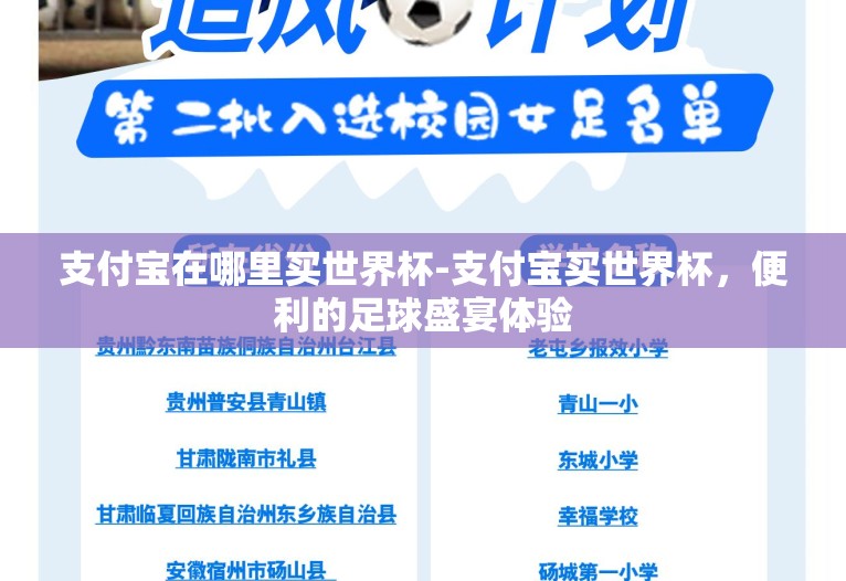 支付宝在哪里买世界杯-支付宝买世界杯,便利的足球盛宴体验 支付宝在哪里买世界杯-支付宝买世界杯,便利的足球盛宴体验