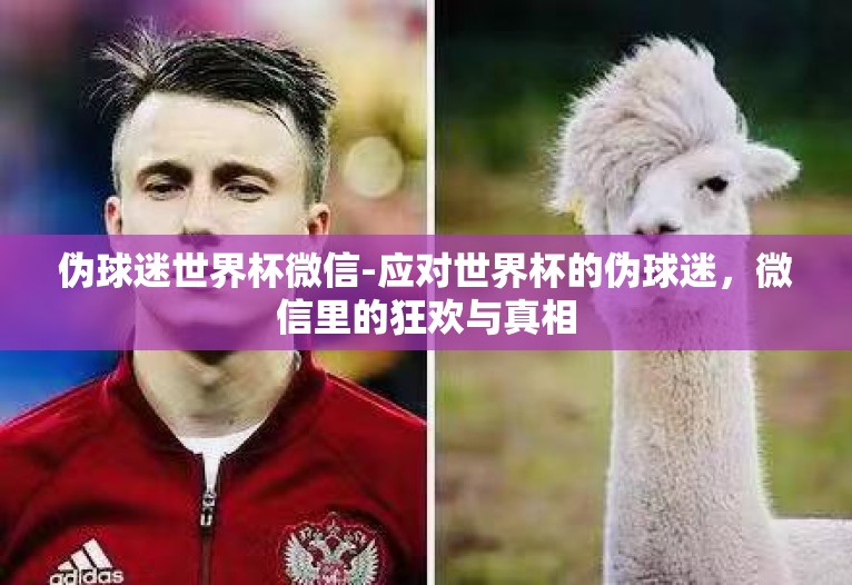 伪球迷世界杯微信-应对世界杯的伪球迷，微信里的狂欢与真相