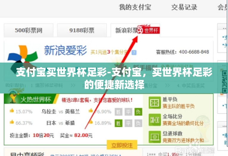 支付宝买世界杯足彩-支付宝，买世界杯足彩的便捷新选择