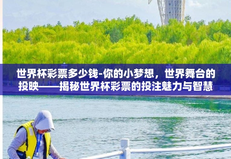 世界杯彩票多少钱-你的小梦想,世界舞台的投映——揭秘世界杯彩票的投注魅力与智慧 世界杯彩票多少钱-你的小梦想,世界舞台的投映——揭秘世界杯彩票的投注魅力与智慧