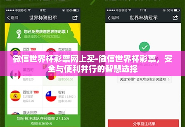 微信世界杯彩票网上买-微信世界杯彩票，安全与便利并行的智慧选择