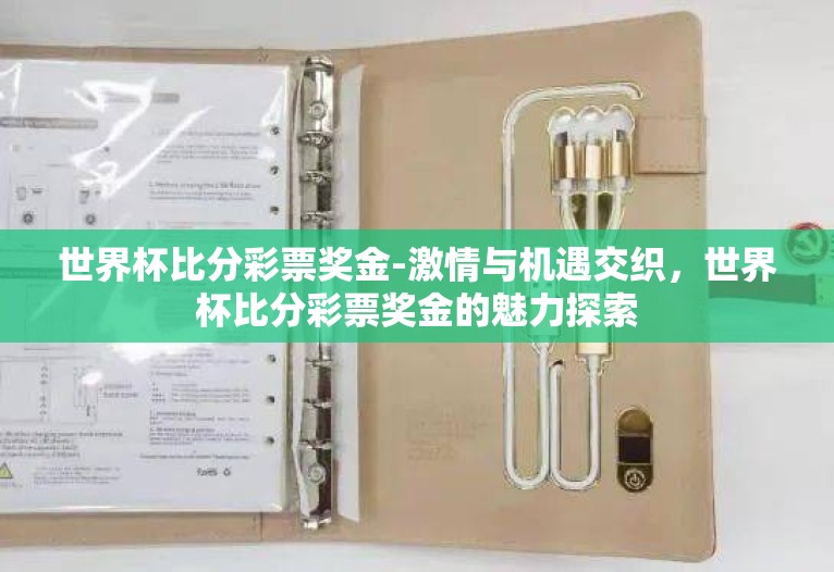 世界杯比分彩票奖金-激情与机遇交织,世界杯比分彩票奖金的魅力探索 世界杯比分彩票奖金-激情与机遇交织,世界杯比分彩票奖金的魅力探索
