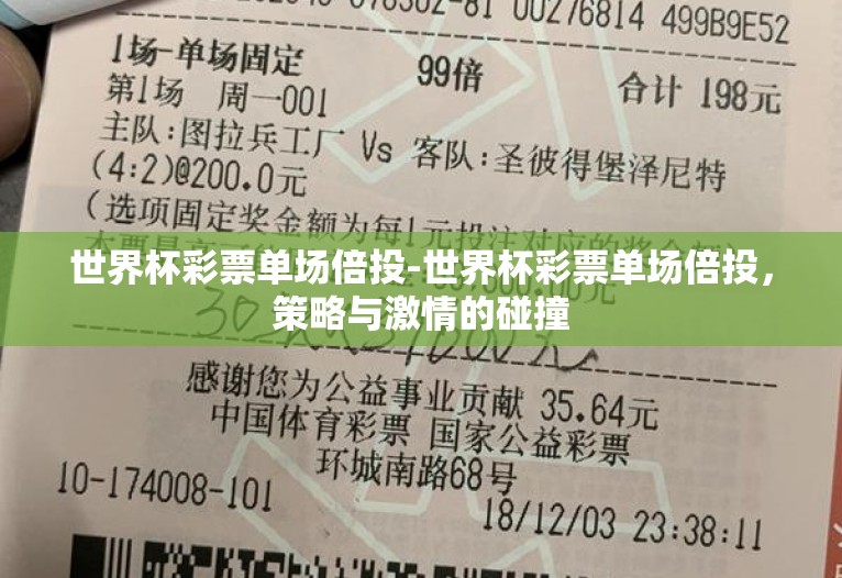 世界杯彩票单场倍投-世界杯彩票单场倍投，策略与激情的碰撞