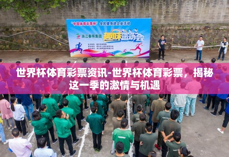 世界杯体育彩票资讯-世界杯体育彩票，揭秘这一季的激情与机遇