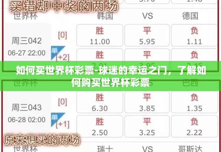 如何买世界杯彩票-球迷的幸运之门，了解如何购买世界杯彩票