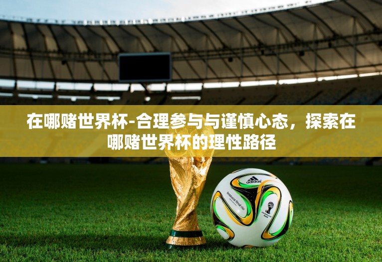 在哪赌世界杯-合理参与与谨慎心态，探索在哪赌世界杯的理性路径