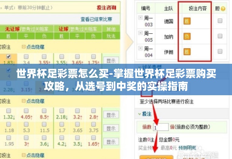 世界杯足彩票怎么买-掌握世界杯足彩票购买攻略，从选号到中奖的实操指南