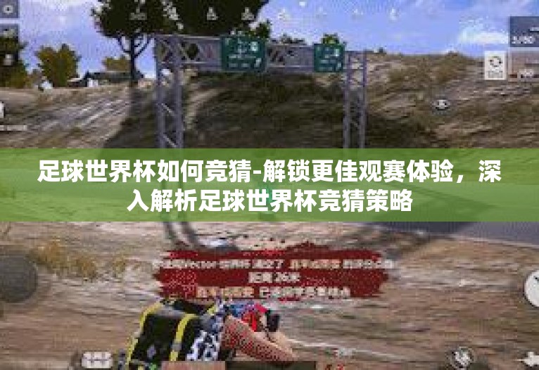 足球世界杯如何竞猜-解锁更佳观赛体验，深入解析足球世界杯竞猜策略