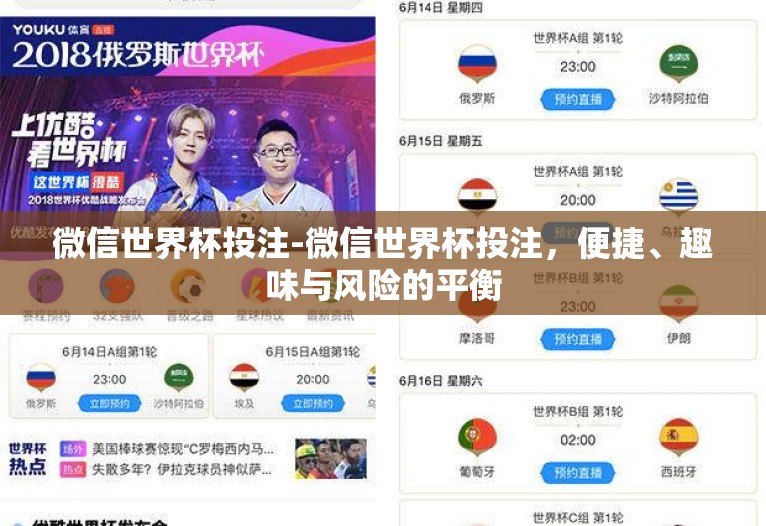 微信世界杯投注-微信世界杯投注，便捷、趣味与风险的平衡