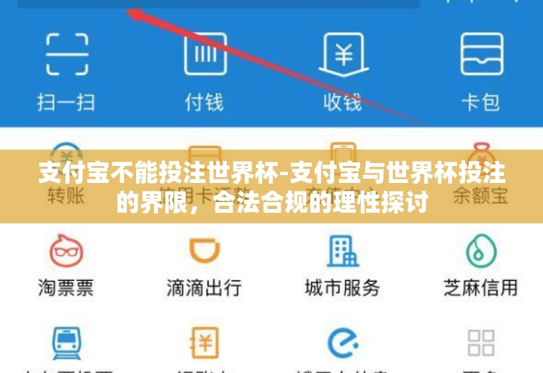 支付宝不能投注世界杯-支付宝与世界杯投注的界限，合法合规的理性探讨